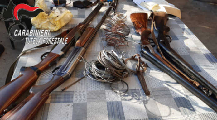 Uccellagione e caccia con mezzi non consentiti, una persona denunciata carabinieri forestali