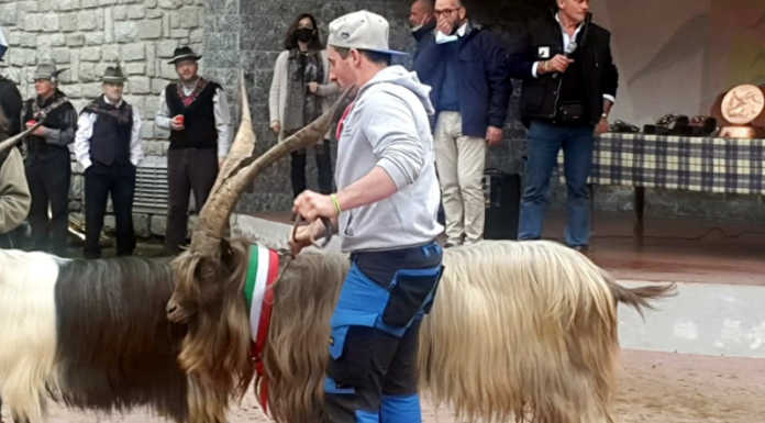 Casargo. Un grande successo la 30^ Mostra Regionale della Capra Orobica capra orobica
