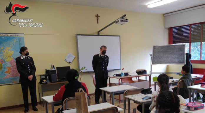Un albero per il futuro: i Carabinieri Forestali nelle scuole lecchesi