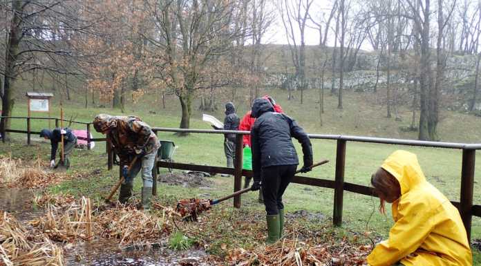 Dal Barro nasce la vita per un nuovo stagno, salverà i tritoni di Rivolta d’Adda