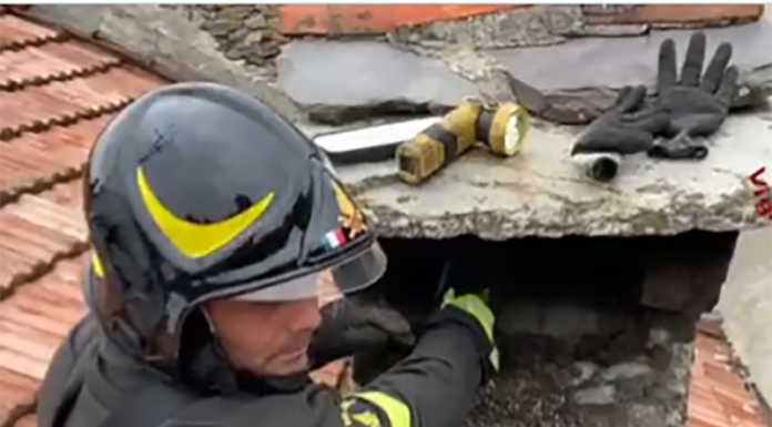 Varesotto. Gatto incastrato in un camino, ‘salvato’ dai pompieri