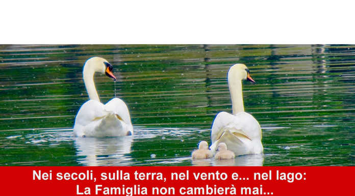 “La famiglia non cambierà mai” il manifesto di Pescate accende la polemica