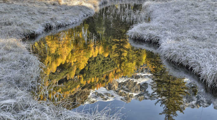 Lecco. Il fotografo Lanfranchi vince il prestigioso concorso AlpConv 2021