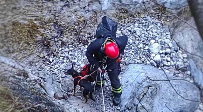 Mandello, il cane Moky cade in una zona impervia, recuperato dai vigili del fuoco