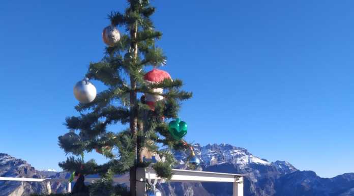 Un albero di Natale sul S. Martino, augura buone feste agli escursionisti