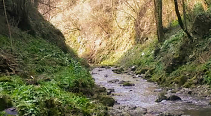 “Valmadrera torrenti sicuri” finanziato il progetto di un’associazione