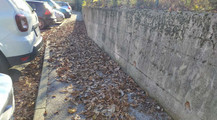 Lettera. “Un marciapiede pieno di foglie, segno di scarsa attenzione verso i rioni”