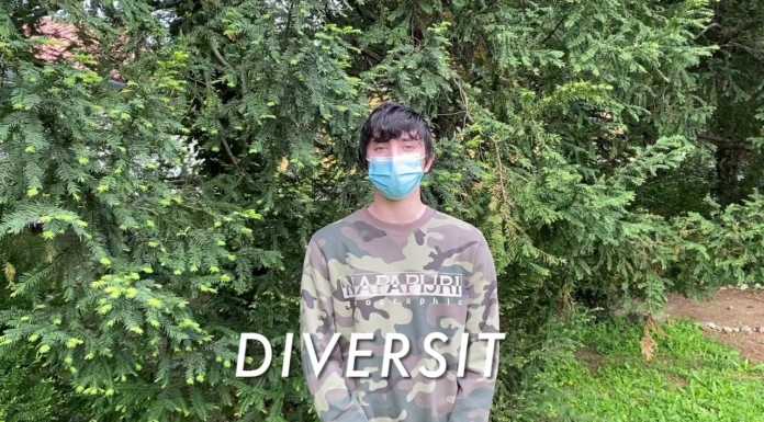 Gli studenti dell’IMA premiati al concorso “Storie di Alternanza”