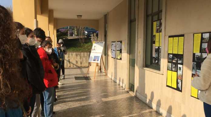 Calolzio. Caterina Cittadini, una mostra per “Ricordare per non tornare indietro” mostra caterina cittadini giorno della memoria