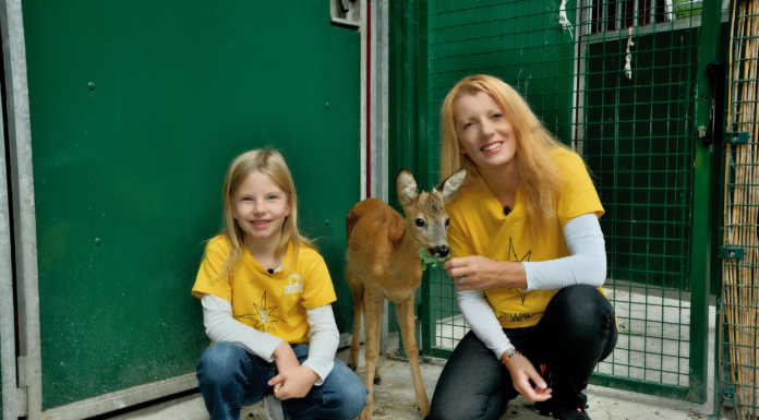 Calolzio. Il bilancio del primo anno del Centro di recupero animali selvatici di Leidaa L'on. Brambilla, la figlia Stella con Elliott, capriolo salvato da morte certa