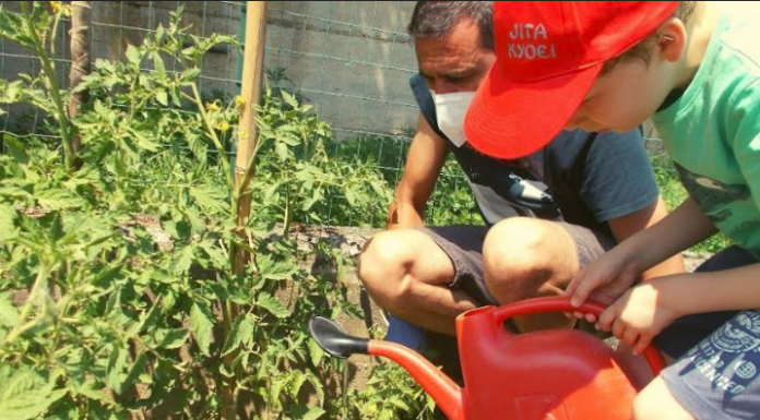 Olgiate, casa dei ragazzi: 5 posti per il servizio civile