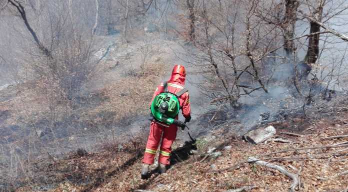 Alto rischio di incendi, divieto assoluto di fuochi vicino ai boschi