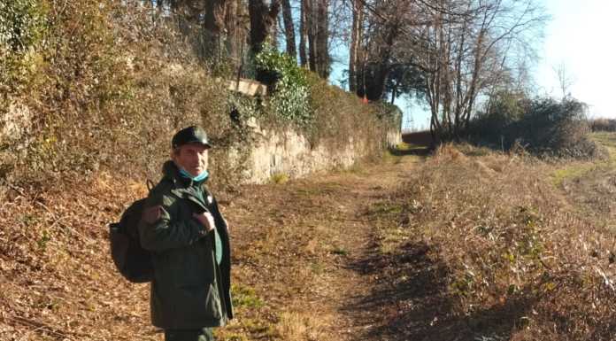 Barzago. Pattugliamento delle Guardie Gev tra sentieri e boschi gev guardie ecologiche a barzago (