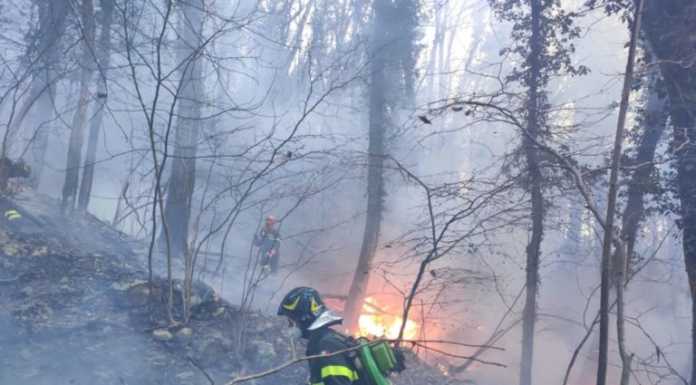 Incendio al Cornizzolo: fiamme sul versante di Canzo della montagna