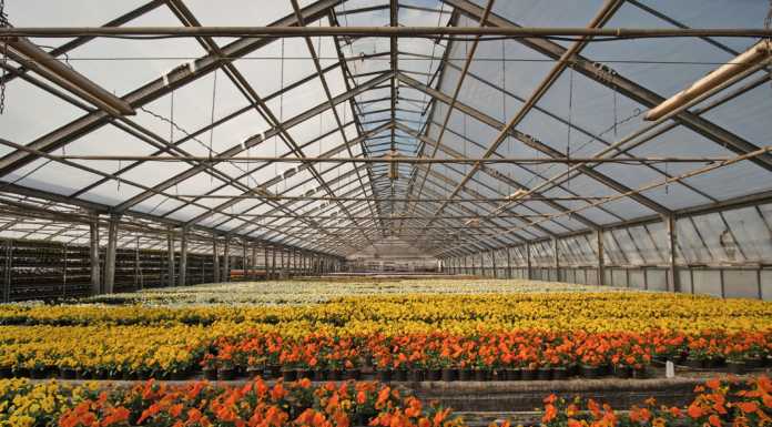 Coldiretti lancia l’allarme: “Caro energia, una scure sulle serre lariane”