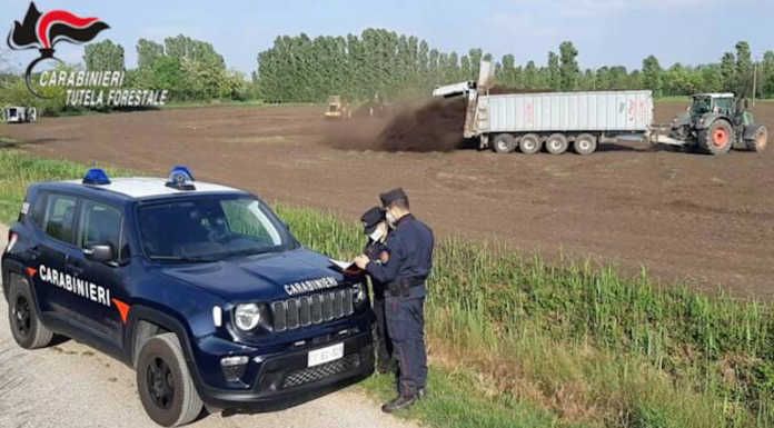 Carabinieri Forestali: oltre 1400 reati ambientali in Lombardia nel 2021