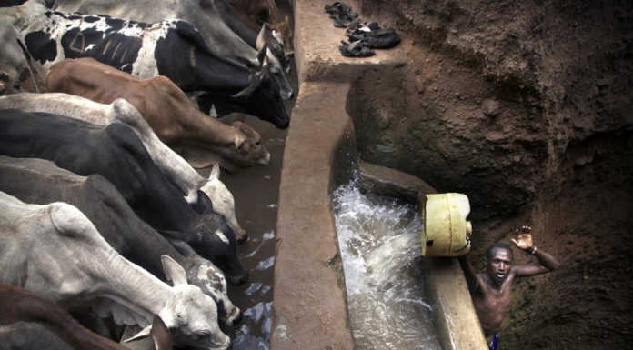 Dolzago: decretati i vincitori del 2° Concorso Fotografico Nazionale “FOTOCLUBRP”