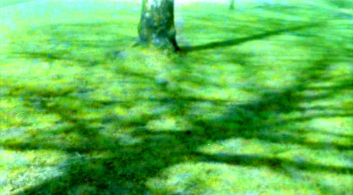 Al Circolo Figini la mostra “Sovrapposizioni. Fotografie per un’iconografia possibile” mostra fotografica figini-colore-N