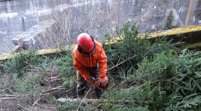 Fiumi sicuri: al via gli interventi finanziati dalla provincia di Lecco col bando 2022 Fiumi Sicuri