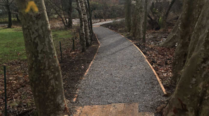 Merate, il comitato ambiente sui lavori alla riserva del lago: “Intervento fuori luogo”