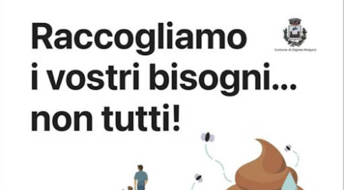 Olgiate, deiezioni canine: campagna di sensibilizzazione contro l’abbandono