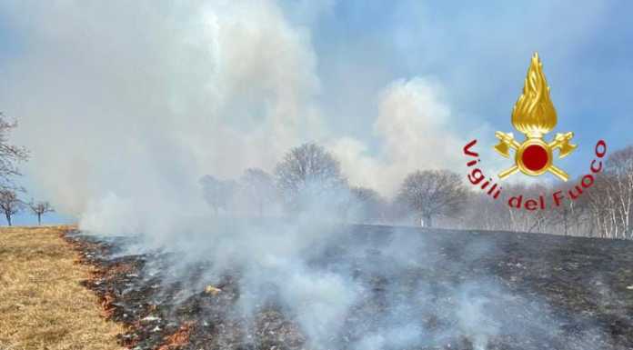 Incendio nei boschi del Cornizzolo, spento in oltre due ore di lavoro