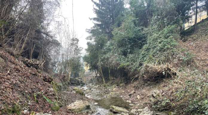 Calolzio. Conclusi i lavori di pulizia e messa in sicurezza del torrente Serta Il torrente Serta in via alla Cascata dopo l'intervento di pulizia
