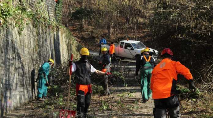 Rancio. Ancora al lavoro il gruppo Antincendio Boschivo Alpini Monte Medale