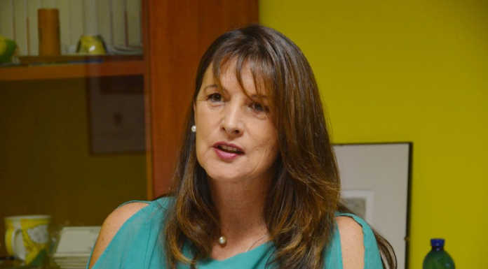 Commercio in Val San Martino: “Il covid ci ha messo a dura prova ma il settore ha tenuto” Cristina Valsecchi presidente di Confcommercio Lecco zona Valle San Martino