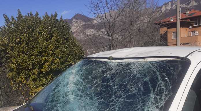 Ancora forte vento: grosso albero cade a Galbiate e colpisce un’auto