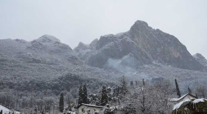 Come da previsioni è arrivata: ecco alcune fotografie della neve La neve sul San Martino