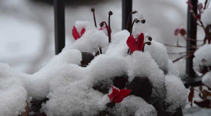 Inizia l’inverno, oggi sarà il giorno più corto dell’anno neve