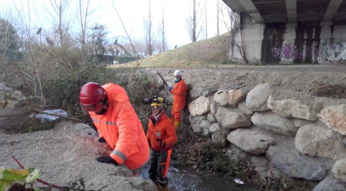Chiuso, volontari al lavoro per ripulire il torrente Culigo