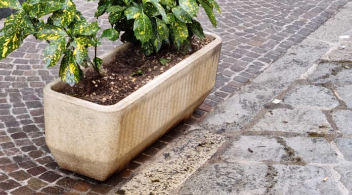 Cani e padroni maleducati in via Mascari: “Siamo stanchi di questo schifo”