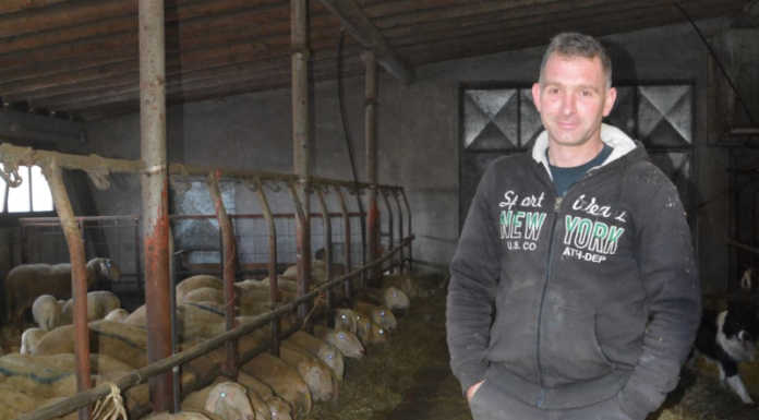 Valsassina. Alla scoperta di antichi mestieri, il pastore Franco Selva Franco Selva, pastore di Cortabbio di Primaluna