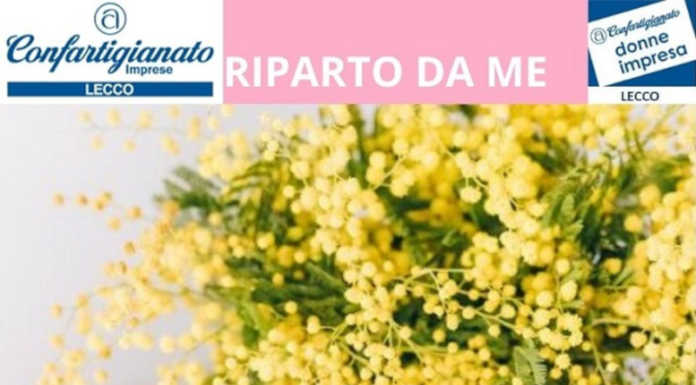 Confartigianato organizza un webinar in occasione della Festa della Donna