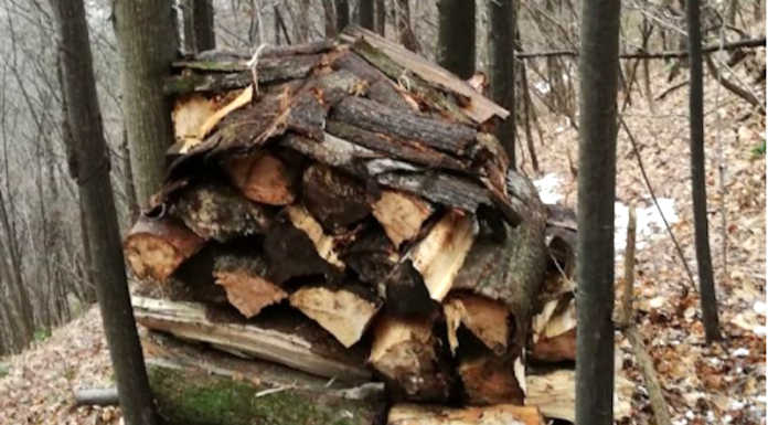 Parco del Curone, boom di domande per la legna da ardere: chiude in anticipo il bando