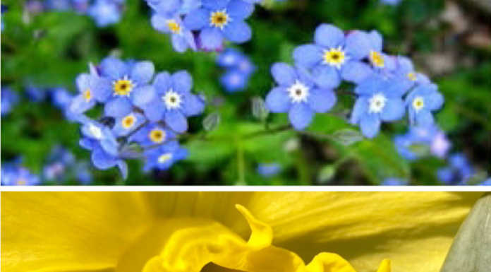 Lettera. “Non posso fermare l’orrore della guerra, ma insegno…” Occhi della Madonna e Narciso a San Tomaso