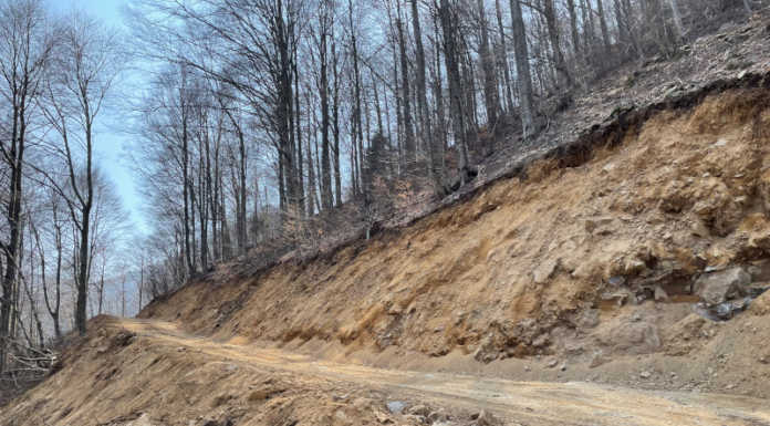 In costruzione la strada Agrosilvopastorale per far rinascere l’Alpe Chiarelli Alpe Chiarelli strada Agrosilvopastorale
