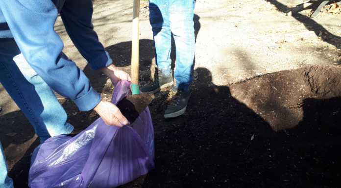 Al giardino di Villa de’ Ponti al via la distribuzione gratuita di compost