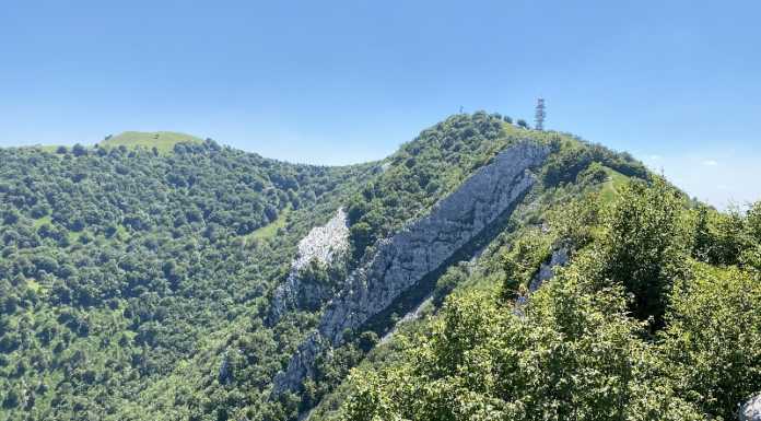 Ampliamento della riserva Malascarpa, gli ambientalisti: “Tutto fermo dal 2017”