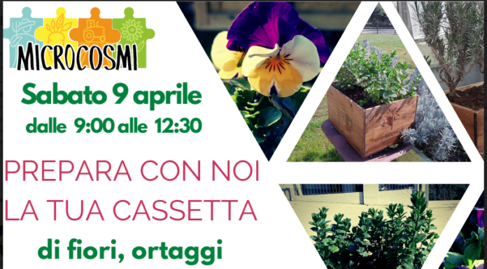Olgiate / Cernusco: il 9 “L’orto in cassetta” con Casa dei ragazzi e Paso Lavoro