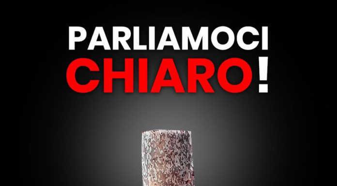 Taglio alberi a Bellano, il centrosinistra: “Noi sciacalli? Non ci stiamo!”