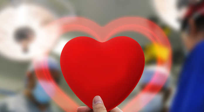 Asst di Lecco. Donazione organi: nel 2023 crescita significativa di tutte le tipologie di donazione donazione organi pixabay