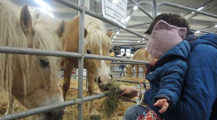 Agrinatura 2022, la filiera agricola ‘in mostra’ a Lariofiere