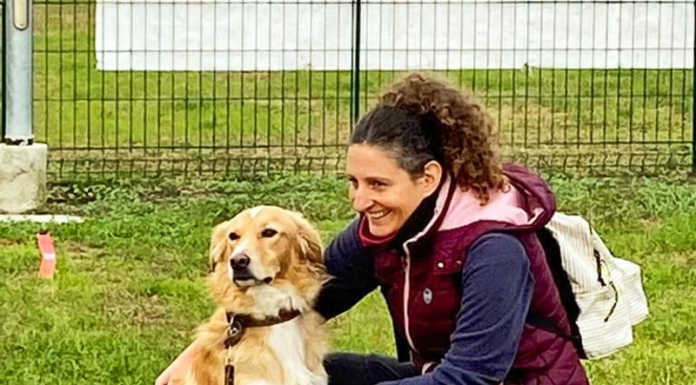 Gestione e cura del cane: al Centro Cinofilo di Malgrate una giornata dedicata