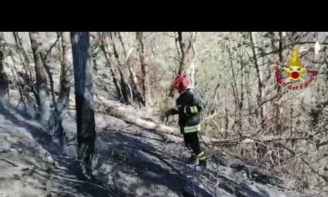 Colico. Spento l’incendio a Olgiasca, si monitora la situazione