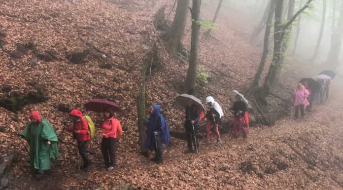 Cai Lecco. La pioggia non ferma il Gruppo Età d’Oro