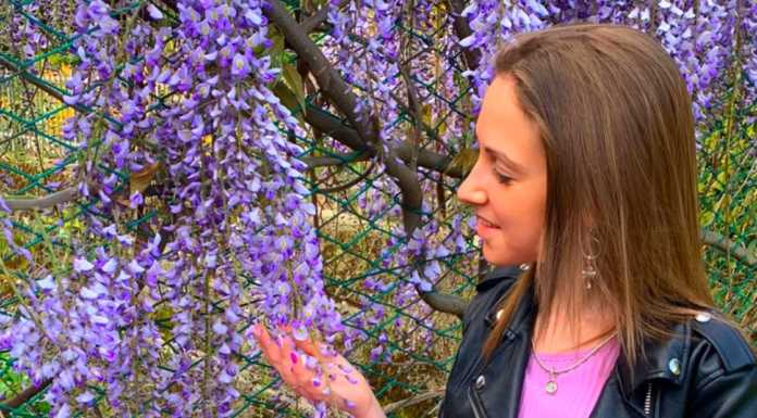 Studentessa del Parini premiata al concorso letterario di Recanati