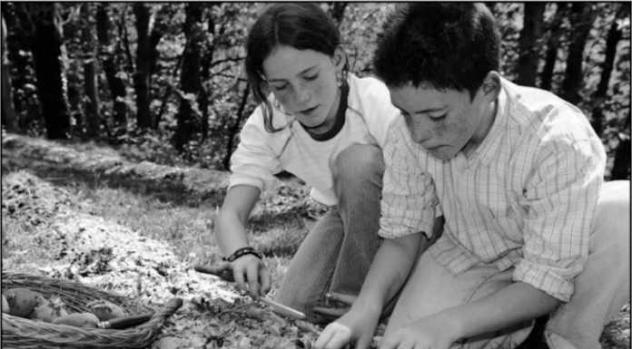 Monte Barro: pensieri e parole: conclusa la fase di aprile del concorso